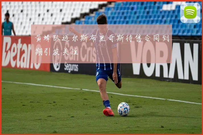 黄蜂队迈尔斯布里奇斯待售合同到期引发关注